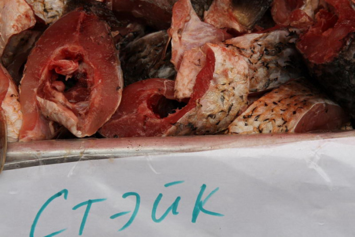 Эх, хвост, чешуя (+фото)